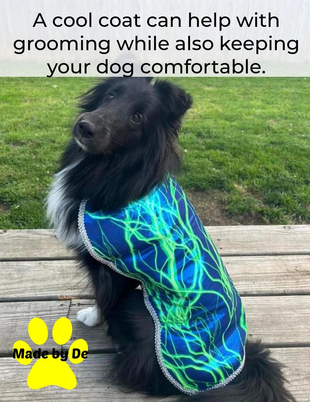 Cool coats for show cheap dogs